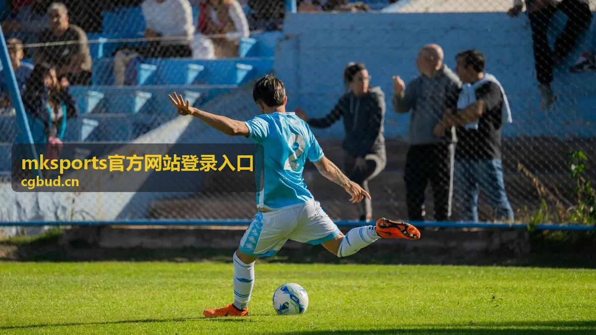 MKSports官方网站登录入口一键登录界面