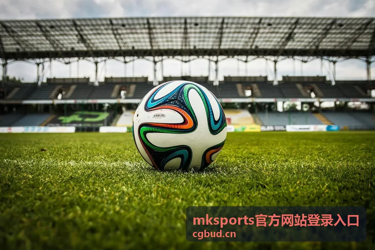 MKSports多端同步设置界面