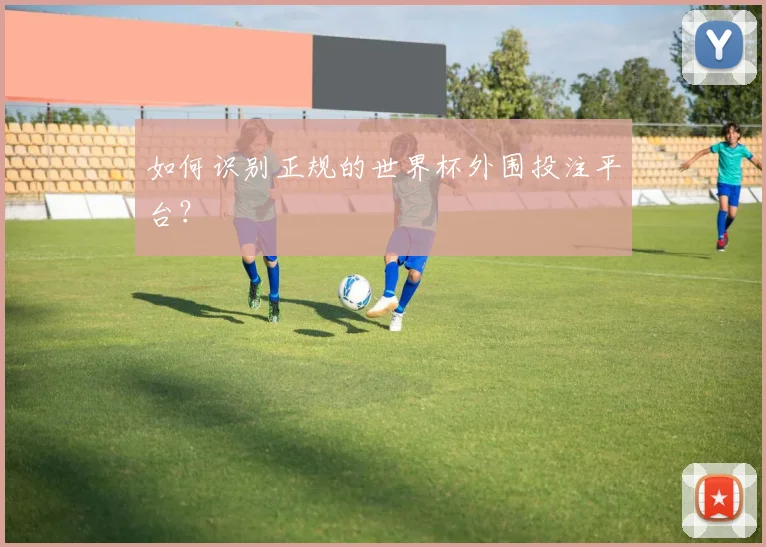如何识别正规的世界杯外围投注平台？