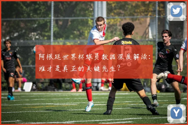阿根廷世界杯球员数据深度解读：谁才是真正的关键先生？